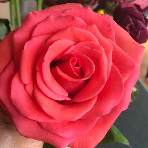 Meet your Posher, Joyce